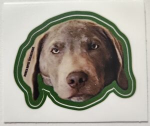 Louie Sticker